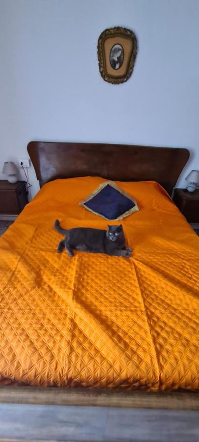 Da Ersilia Apartment Cernobbio Bagian luar foto
